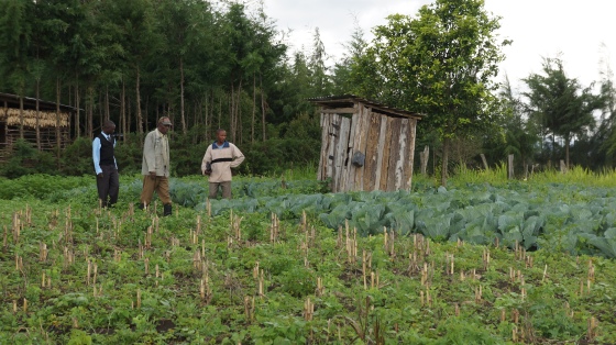 Cosmas, Soloman, Organic Farm - Eco Fuels Kenya