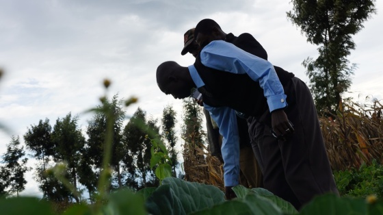 Eco Fuels Kenya - Organic Farming
